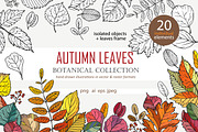 Hand drawn Autumn Leaves