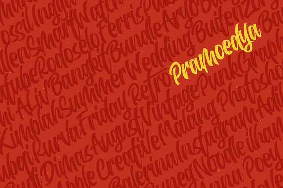 WanderType in Script Fonts - product preview 6