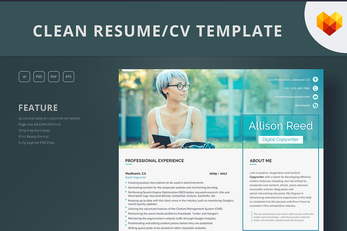 Copywriter Resume Template in Resume Templates - product preview 8