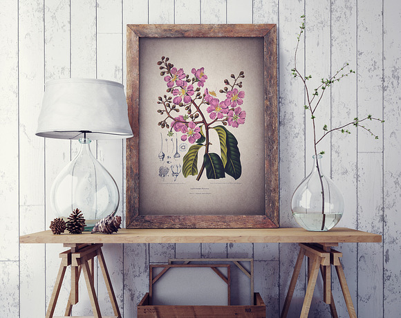 16 Vintage Floral Botanical Posters in Illustrations - product preview 1