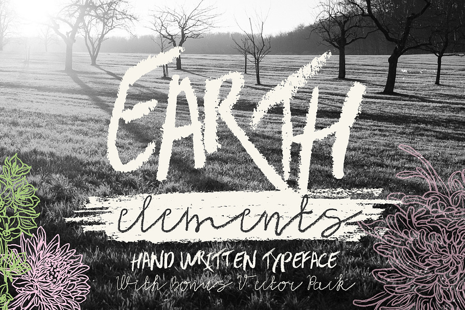 Earth Elements Typeface in Script Fonts - product preview 8
