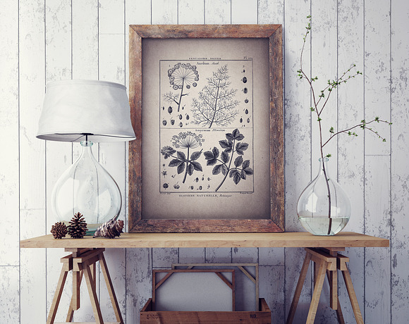 24 Vintage Floral Botanical Posters in Illustrations - product preview 1