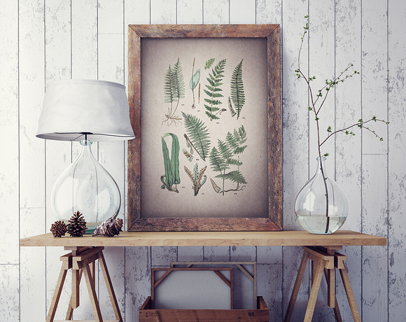 47 Vintage Floral Botanical Posters in Illustrations - product preview 1