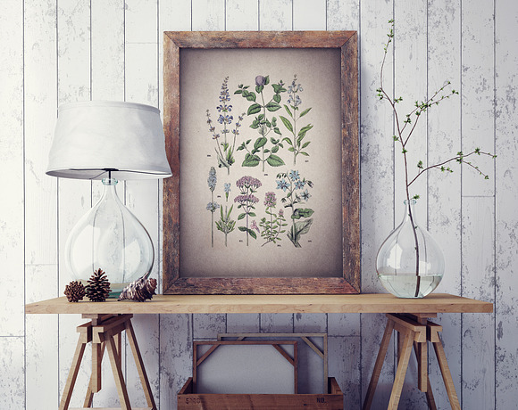 47 Vintage Floral Botanical Posters in Illustrations - product preview 3