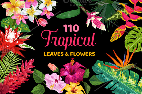 Watercolor Tropical Flowers