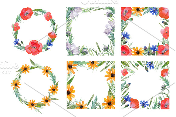 Meadow flowers in Illustrations - product preview 3