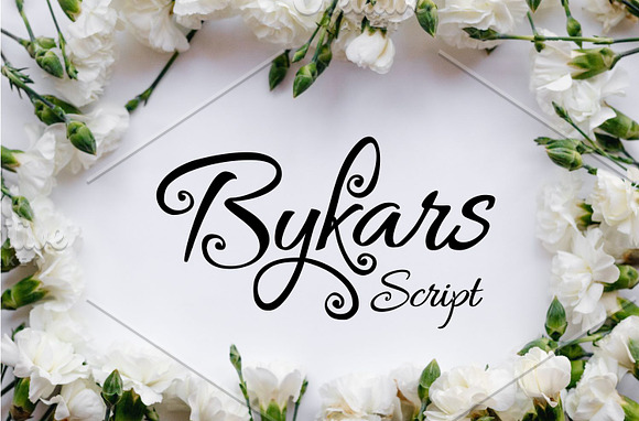 Bykars in Script Fonts - product preview 4