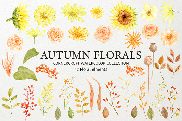 Autumn Floral Collection in Illustrations - product preview 1