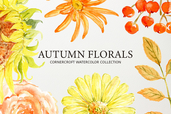 Autumn Floral Collection in Illustrations - product preview 6