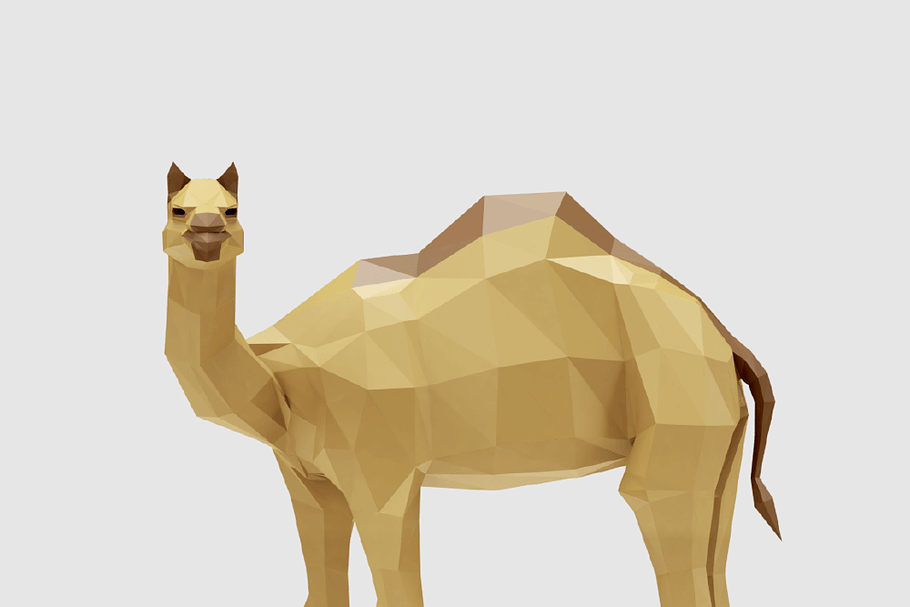 Camel in Animals - product preview 8