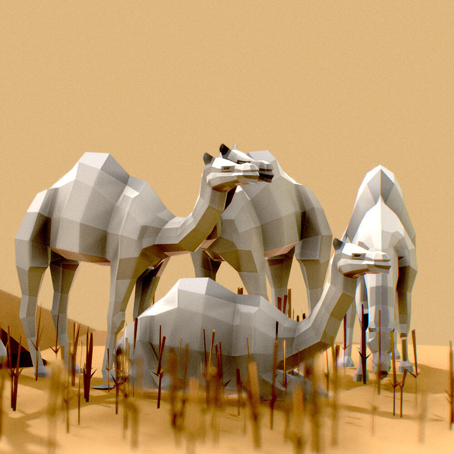Camel in Animals - product preview 1