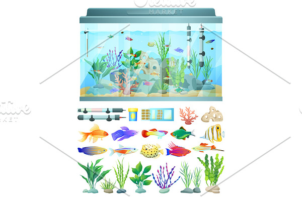 Aquarium with Fish and Decoration