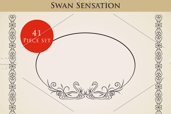 Swan Sensation