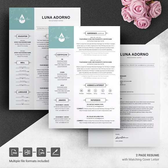 Resume Design Template for Nurse in Resume Templates - product preview 3
