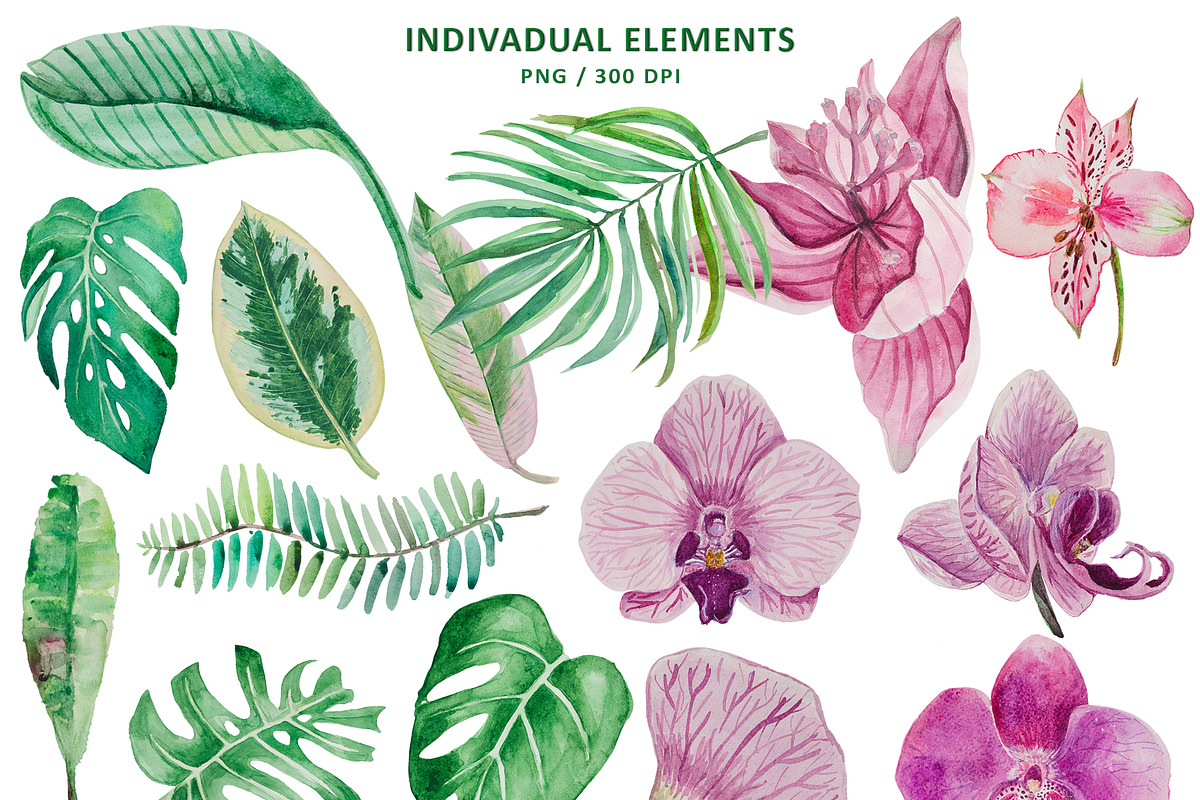 Tropical set in Patterns - product preview 8
