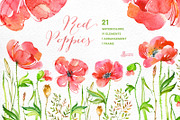 Red Poppies. Floral collection