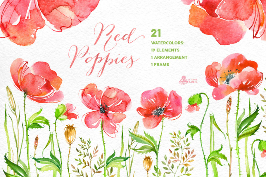 Red Poppies. Floral collection
