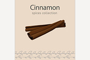 Cinnamon vector image