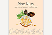 Pine nuts image