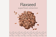 Flaxseeds vector image