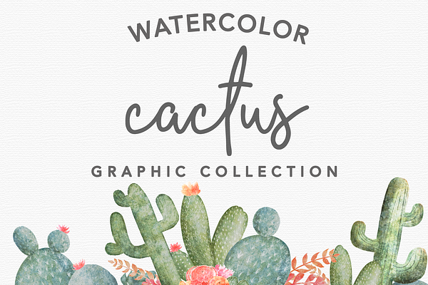40+ Watercolor Cactus Illustrations
