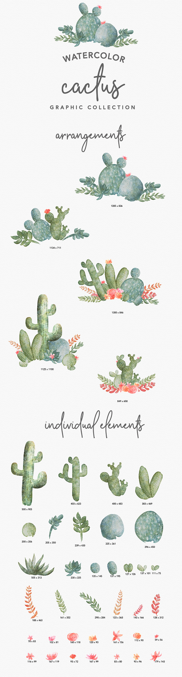 40+ Watercolor Cactus Illustrations in Illustrations - product preview 1