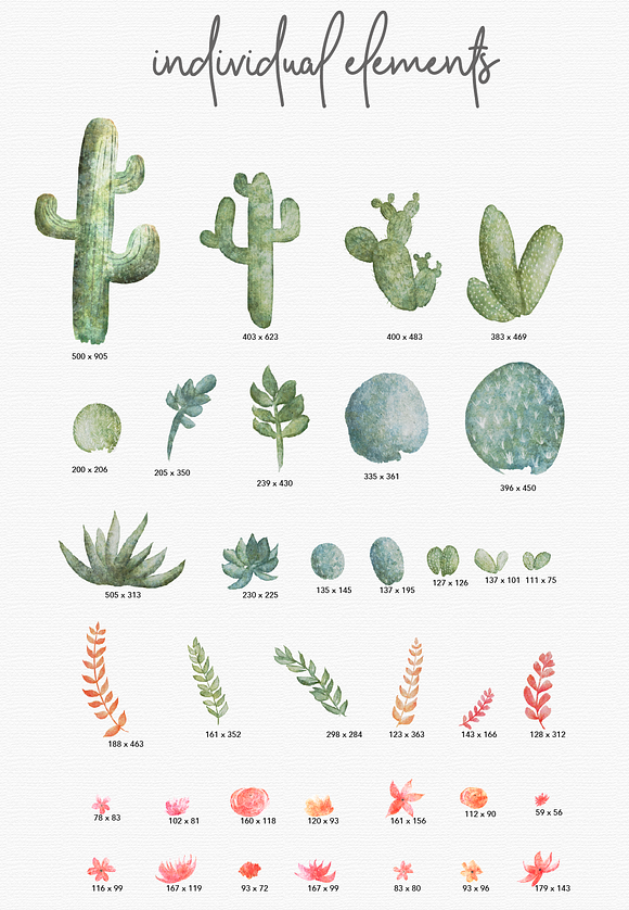 40+ Watercolor Cactus Illustrations in Illustrations - product preview 3