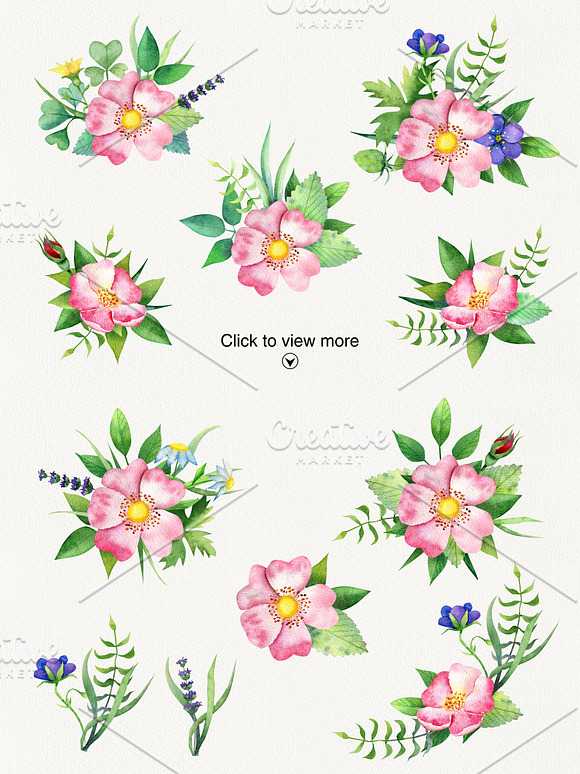 Summer flowers. Watercolor dog-rose in Illustrations - product preview 2