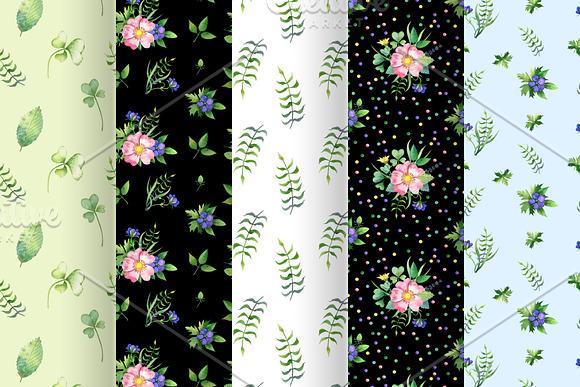 Summer flowers. Watercolor dog-rose in Illustrations - product preview 4