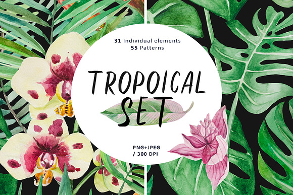 Tropical set in Patterns - product preview 10
