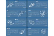 Scallop and Oyster Posters Set