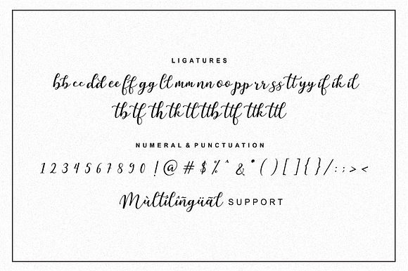 Martinesse - Beautiful Script Font in Script Fonts - product preview 11