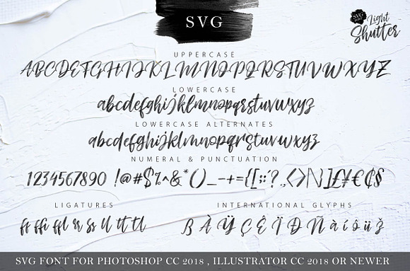 Light Shutter + SVG Font in Script Fonts - product preview 6