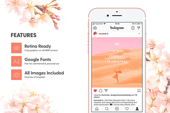 Blush Emotions - Social Pack in Instagram Templates - product preview 4