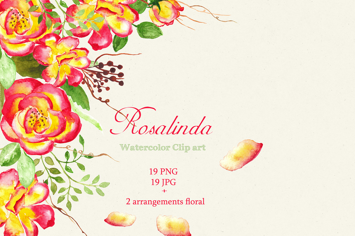 Watercolor clip art Rosalinda in Graphics - product preview 8