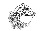 Giraffe head animal engraving vector