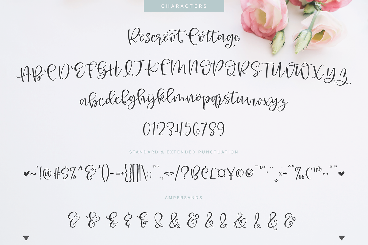 Roseroot Cottage Font Collection in Icon Fonts - product preview 8