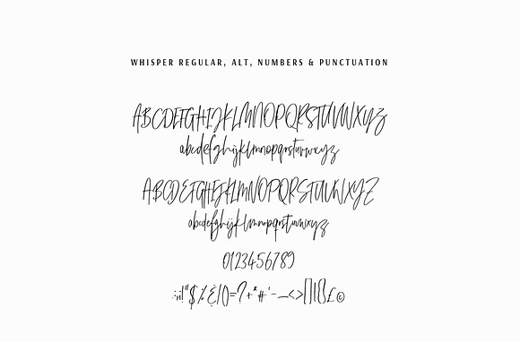 Whisper | A Signature Script in Script Fonts - product preview 7