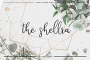 the shellra
