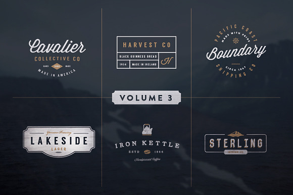 Vintage Logo Kit:  Volume Three in Logo Templates - product preview 3