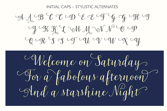 Celadon Modern Calligraphy Font in Script Fonts - product preview 4