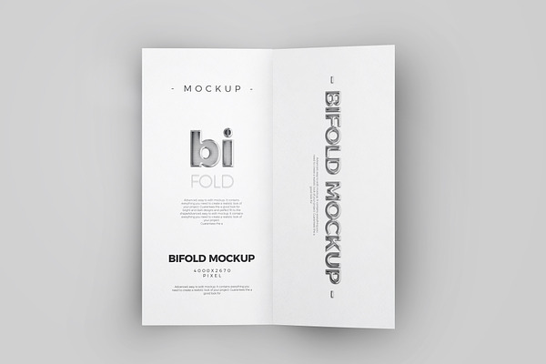 Bi-Fold DL Brochure Mock-up 1