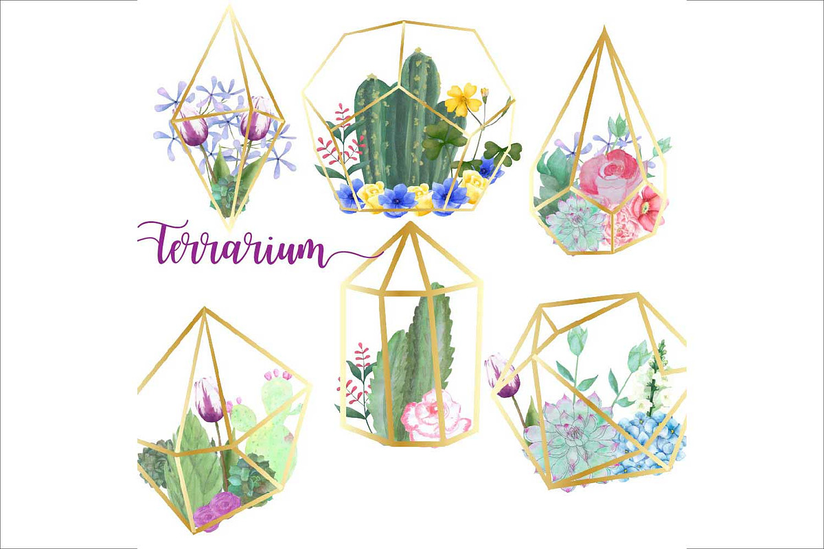 Watercolor Terrarium Clipart in Illustrations - product preview 8