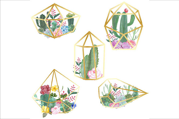 Watercolor Terrarium Clipart in Illustrations - product preview 2