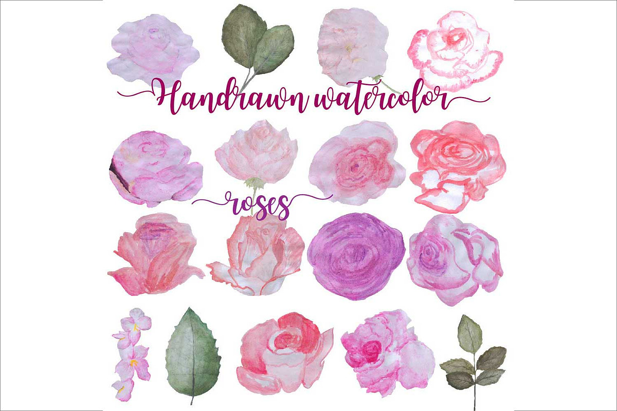 Hand Drawn Watercolor Roses Clipart in Illustrations - product preview 8