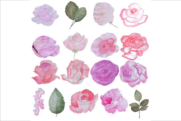 Hand Drawn Watercolor Roses Clipart in Illustrations - product preview 1
