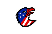 American Flag Inside Eagle Mascot