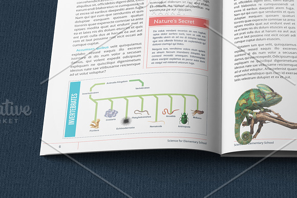 Science Textbook in Magazine Templates - product preview 6