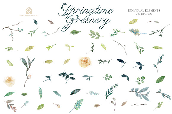 SPRINGTIME GREENERY SET in Illustrations - product preview 9