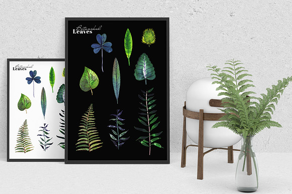 Botanical watercolor leaves set in Illustrations - product preview 2